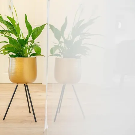 Style And View Center