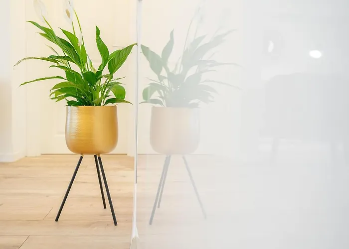 Style And View Center